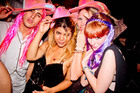 Photo-77871