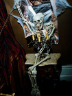 Thumb-Daniel Lismore's Hallowen Ball