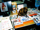 Photo-76758