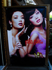 Photo-76769
