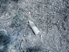 Photo-76774