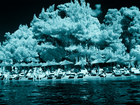 Photo-76778