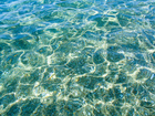 Photo-76782