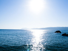 Photo-76784