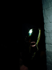 Thumb-Daniel Lismore's Hallowen Ball