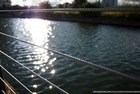 Photo-128568