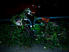 Photo-74870