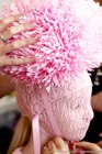 Photo-133885