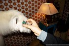 Photo-143957