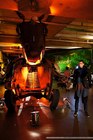 Photo-144766