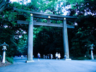 Photo-74862